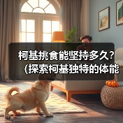 柯基挑食能坚持多久？（探索柯基独特的体能和毅力，揭示它们的持久之道）（图3）
