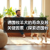 德国牧羊犬的寿命及其关键因素（探索德国牧羊犬寿命的多种因素和如何延长它们的生命周期）（图1）