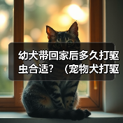 幼犬带回家后多久打驱虫合适？（宠物犬打驱虫时间表与方法解析）（图1）