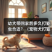 幼犬带回家后多久打驱虫合适？（宠物犬打驱虫时间表与方法解析）（图3）