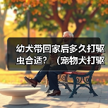 幼犬带回家后多久打驱虫合适？（宠物犬打驱虫时间表与方法解析）（图4）