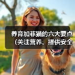 养育加菲猫的六大要点（关注营养、提供安全、给予关爱，打造幸福加菲猫生活）（图2）