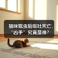 猫咪驱虫后呕吐死亡，“凶手”究竟是谁？