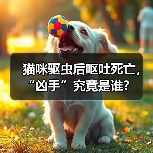 猫咪驱虫后呕吐死亡，“凶手”究竟是谁？（图3）