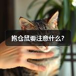 抱仓鼠要注意什么？（图1）