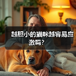 越胆小的猫咪越容易应激吗？