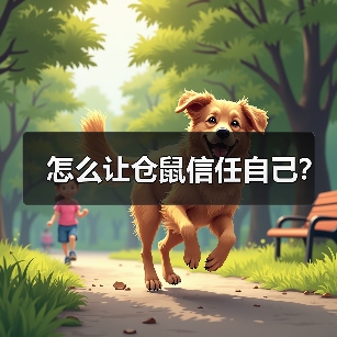 怎么让仓鼠信任自己？（图2）