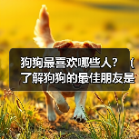 狗狗最喜欢哪些人？（了解狗狗的最佳朋友是谁）（图3）