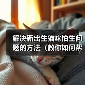 解决新出生猫咪怕生问题的方法（教你如何帮助小猫克服害羞和恐惧）（图1）