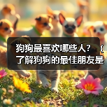 狗狗最喜欢哪些人？（了解狗狗的最佳朋友是谁）（图2）