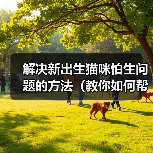 解决新出生猫咪怕生问题的方法（教你如何帮助小猫克服害羞和恐惧）（图2）