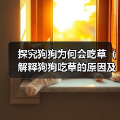 探究狗狗为何会吃草（解释狗狗吃草的原因及如何应对）（图4）