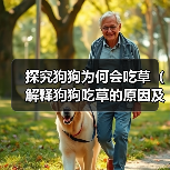 探究狗狗为何会吃草（解释狗狗吃草的原因及如何应对）（图1）