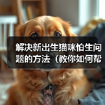 解决新出生猫咪怕生问题的方法（教你如何帮助小猫克服害羞和恐惧）（图3）