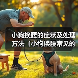 小狗换腰的症状及处理方法（小狗换腰常见的症状及如何帮助他们）（图4）