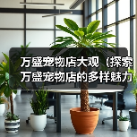 万盛宠物店大观（探索万盛宠物店的多样魅力）（图2）