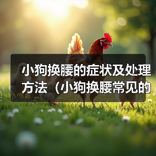 小狗换腰的症状及处理方法（小狗换腰常见的症状及如何帮助他们）（图3）