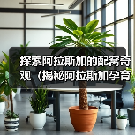 探索阿拉斯加的配窝奇观（揭秘阿拉斯加孕育新生命的神秘过程）（图4）