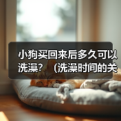小狗买回来后多久可以洗澡？（洗澡时间的关键是宝宝的年龄和健康状况）（图2）