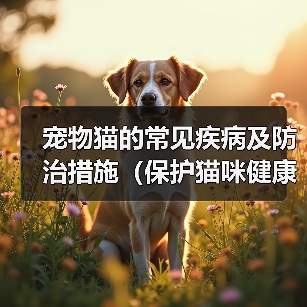 宠物猫的常见疾病及防治措施（保护猫咪健康的关键是及时发现问题并采取正确的治疗措施）（图3）