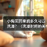 小狗买回来后多久可以洗澡？（洗澡时间的关键是宝宝的年龄和健康状况）（图4）