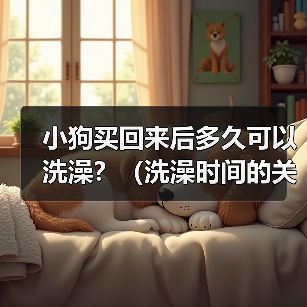 小狗买回来后多久可以洗澡？（洗澡时间的关键是宝宝的年龄和健康状况）（图1）