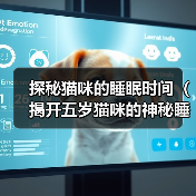 探秘猫咪的睡眠时间（揭开五岁猫咪的神秘睡眠时间，探索背后的科学原因和影响）（图3）