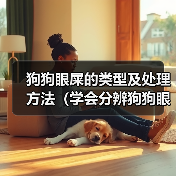 狗狗眼屎的类型及处理方法（学会分辨狗狗眼屎，保护它们的眼睛健康）（图4）