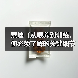 泰迪（从喂养到训练，你必须了解的关键细节）（图2）
