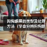 狗狗眼屎的类型及处理方法（学会分辨狗狗眼屎，保护它们的眼睛健康）（图2）