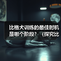比格犬训练的最佳时机是哪个阶段？（探究比格犬训练的黄金时期）（图2）