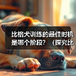 比格犬训练的最佳时机是哪个阶段？（探究比格犬训练的黄金时期）（图3）