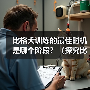 比格犬训练的最佳时机是哪个阶段？（探究比格犬训练的黄金时期）（图4）