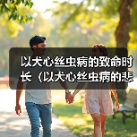 以犬心丝虫病的致命时长（以犬心丝虫病的悲剧）（图1）