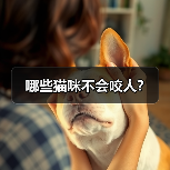 哪些猫咪不会咬人？（图2）