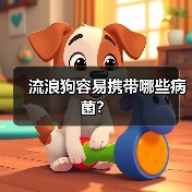 流浪狗容易携带哪些病菌？（图2）