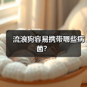 流浪狗容易携带哪些病菌？（图1）
