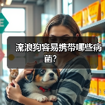 流浪狗容易携带哪些病菌？（图3）