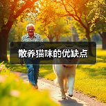 散养猫咪的优缺点