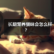 长期笼养猫咪会怎么样？（图1）