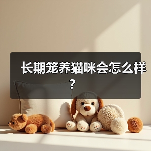长期笼养猫咪会怎么样？（图2）