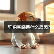 狗狗空嚼是什么原因？（图1）