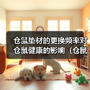 仓鼠垫材的更换频率对仓鼠健康的影响（仓鼠垫材更换周期的重要性及正确方法）（图3）