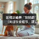 如何正确养“灰鹦鹉”（关注饮食细节，建立良好的生活环境，培养亲密关系）（图3）