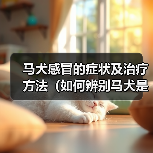 马犬感冒的症状及治疗方法（如何辨别马犬是否感冒？有效的治疗方法分享）（图4）