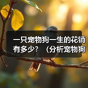 一只宠物狗一生的花销有多少？（分析宠物狗一生所需费用，帮你预估宠物养育成本）