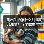 刚出生的猫什么时候可以洗澡？（了解猫宝宝洗澡的最佳时机及注意事项）