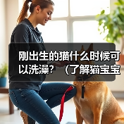 刚出生的猫什么时候可以洗澡？（了解猫宝宝洗澡的最佳时机及注意事项）（图2）