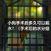 小狗手术后多久可以喝水？（手术后的水分摄取是关键，注意饮水时间和方式）（图3）