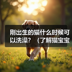 刚出生的猫什么时候可以洗澡？（了解猫宝宝洗澡的最佳时机及注意事项）（图3）